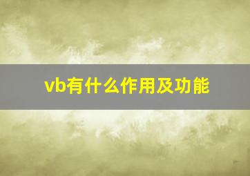 vb有什么作用及功能