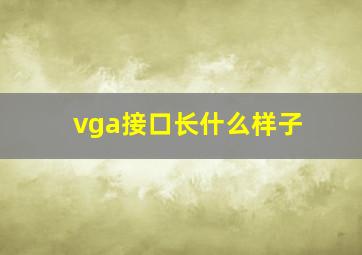 vga接口长什么样子