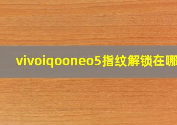 vivoiqooneo5指纹解锁在哪里