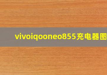 vivoiqooneo855充电器图片