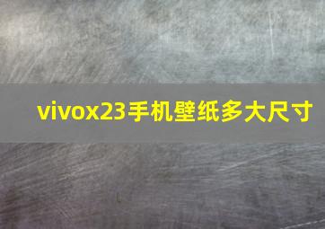 vivox23手机壁纸多大尺寸