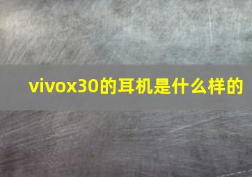 vivox30的耳机是什么样的