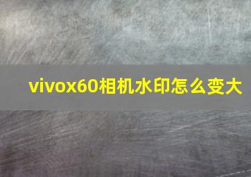 vivox60相机水印怎么变大