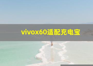 vivox60适配充电宝