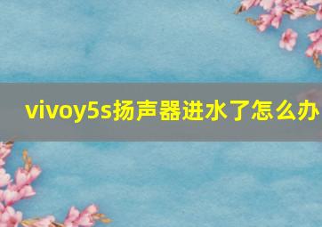 vivoy5s扬声器进水了怎么办