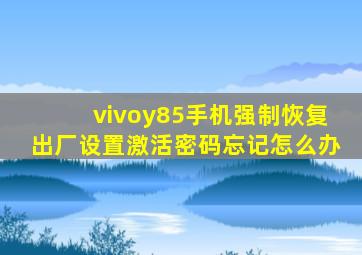 vivoy85手机强制恢复出厂设置激活密码忘记怎么办