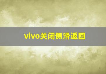 vivo关闭侧滑返回