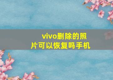 vivo删除的照片可以恢复吗手机