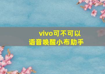 vivo可不可以语音唤醒小布助手