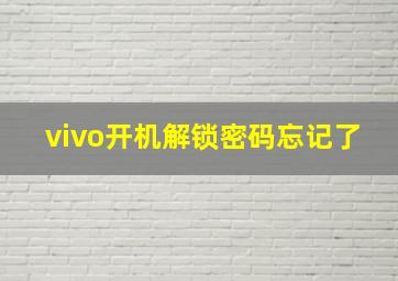 vivo开机解锁密码忘记了