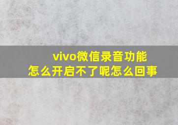 vivo微信录音功能怎么开启不了呢怎么回事