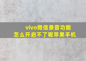 vivo微信录音功能怎么开启不了呢苹果手机