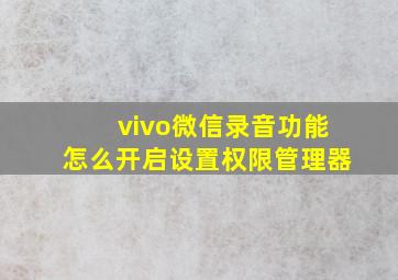 vivo微信录音功能怎么开启设置权限管理器