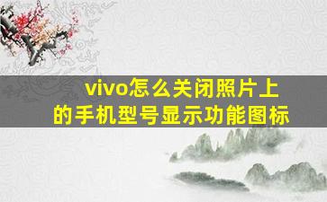 vivo怎么关闭照片上的手机型号显示功能图标