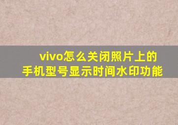 vivo怎么关闭照片上的手机型号显示时间水印功能