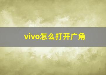 vivo怎么打开广角