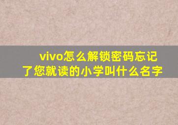 vivo怎么解锁密码忘记了您就读的小学叫什么名字