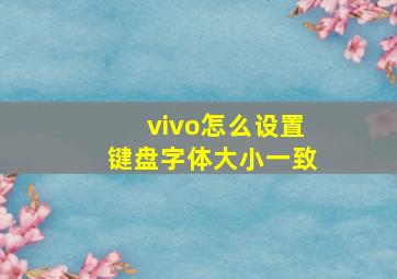 vivo怎么设置键盘字体大小一致