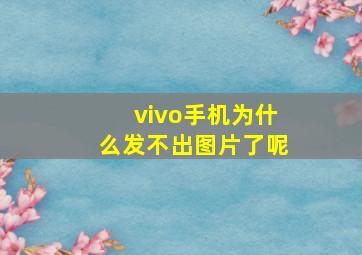 vivo手机为什么发不出图片了呢