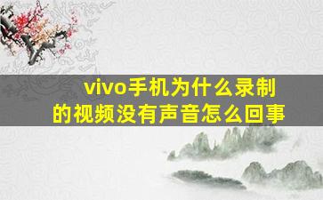 vivo手机为什么录制的视频没有声音怎么回事