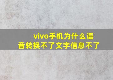 vivo手机为什么语音转换不了文字信息不了