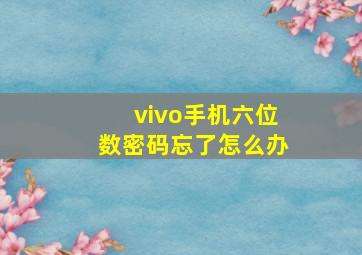 vivo手机六位数密码忘了怎么办