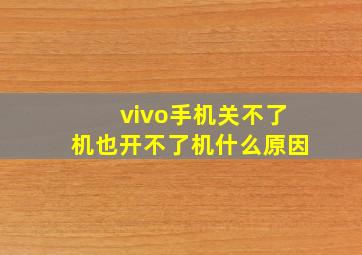 vivo手机关不了机也开不了机什么原因