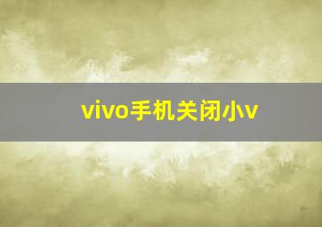 vivo手机关闭小v