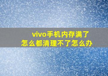 vivo手机内存满了怎么都清理不了怎么办