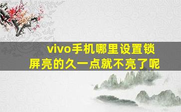 vivo手机哪里设置锁屏亮的久一点就不亮了呢