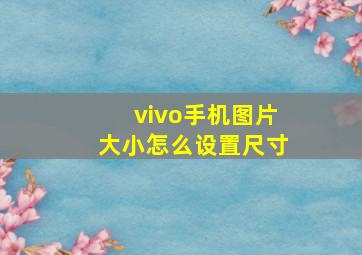 vivo手机图片大小怎么设置尺寸