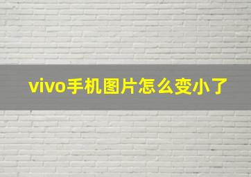 vivo手机图片怎么变小了