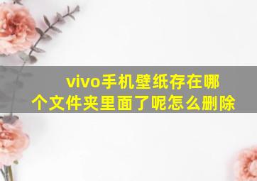 vivo手机壁纸存在哪个文件夹里面了呢怎么删除