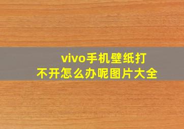 vivo手机壁纸打不开怎么办呢图片大全