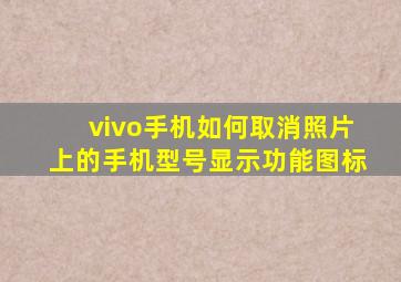 vivo手机如何取消照片上的手机型号显示功能图标