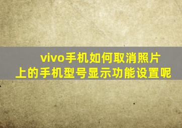 vivo手机如何取消照片上的手机型号显示功能设置呢