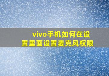 vivo手机如何在设置里面设置麦克风权限