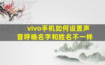 vivo手机如何设置声音呼唤名字和姓名不一样