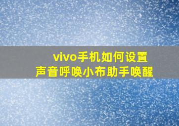 vivo手机如何设置声音呼唤小布助手唤醒