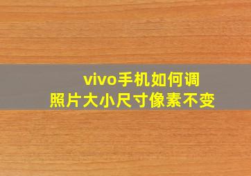 vivo手机如何调照片大小尺寸像素不变