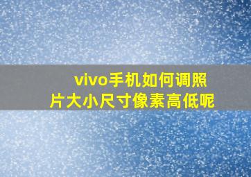 vivo手机如何调照片大小尺寸像素高低呢