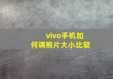 vivo手机如何调照片大小比较