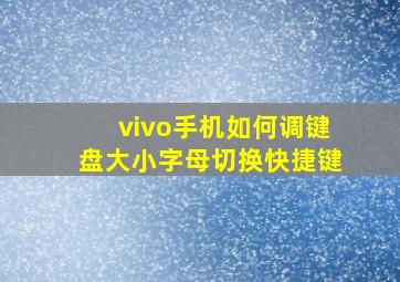 vivo手机如何调键盘大小字母切换快捷键