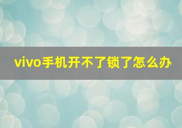 vivo手机开不了锁了怎么办