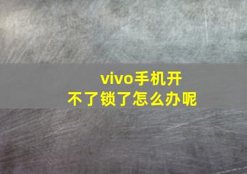 vivo手机开不了锁了怎么办呢