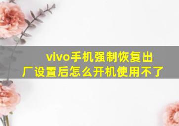 vivo手机强制恢复出厂设置后怎么开机使用不了