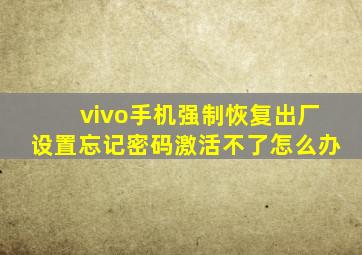 vivo手机强制恢复出厂设置忘记密码激活不了怎么办