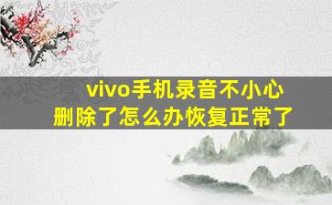 vivo手机录音不小心删除了怎么办恢复正常了