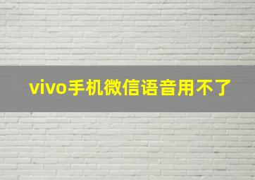 vivo手机微信语音用不了