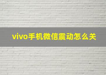 vivo手机微信震动怎么关